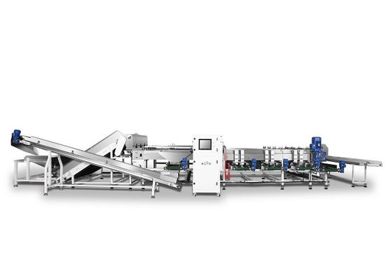 De hoge Sorteermachine van de Nauwkeurigheidskleur om Rode Datum 380V/50Hz Te sorteren