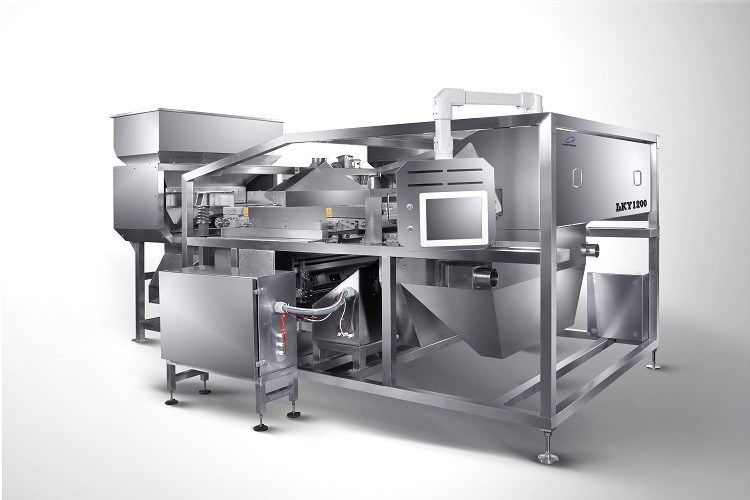 Anysort van de Overzeese de Sorteerder Zoutenkleur, Kanaaltype Zoute Sorteermachine